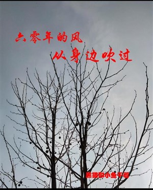60 năm phong từ bên người thổi qua