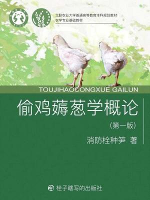 Ăn trộm gà kéo hành học khái luận  