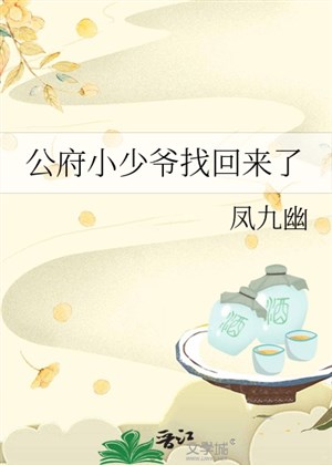 Công phủ tiểu thiếu gia tìm trở về