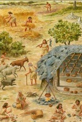 Động Vật Máu Lạnh