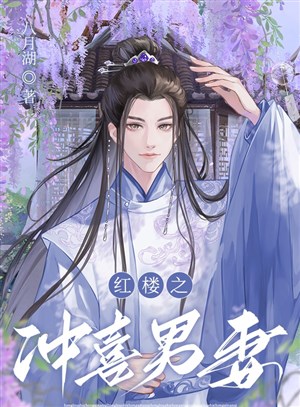 Hồng Lâu chi xung hỉ nam thê