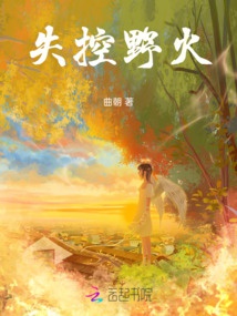 Mất khống chế lửa rừng